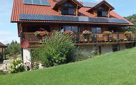 Holzhaus 